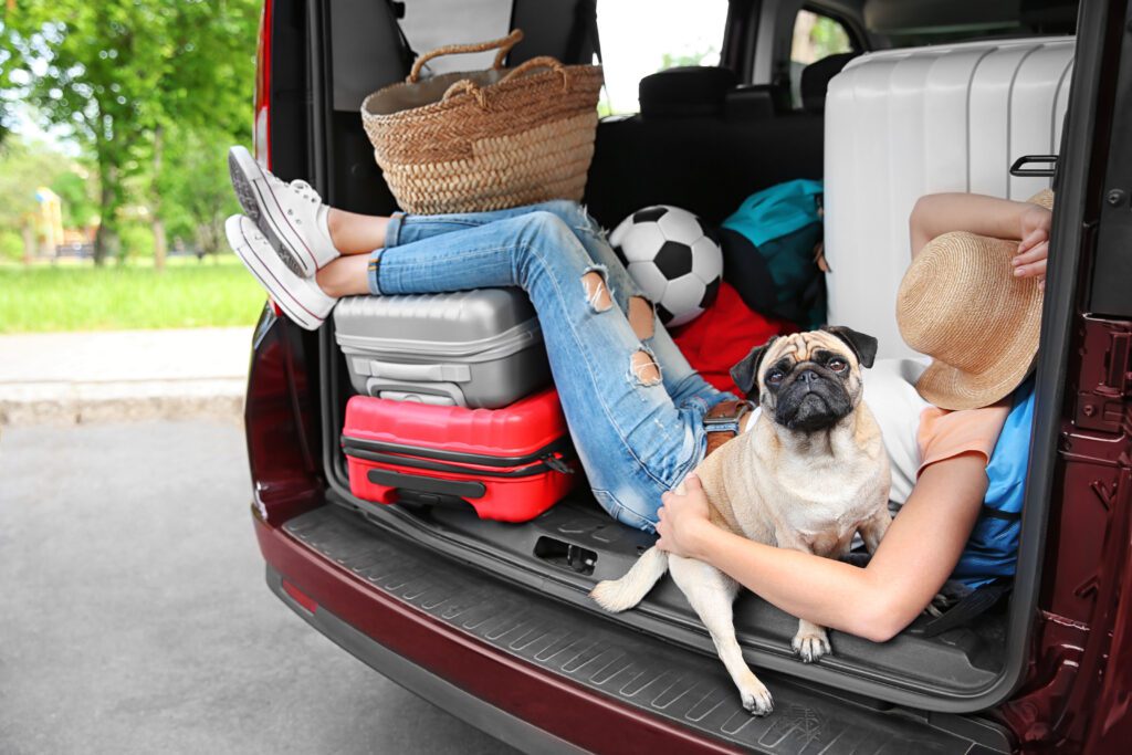 There are plenty of advantages of moving in the summer season. Follow our 7 Tips for Moving in the Summer for a smooth transition to your new home.